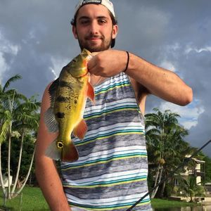 Meet your Posher, Spencer